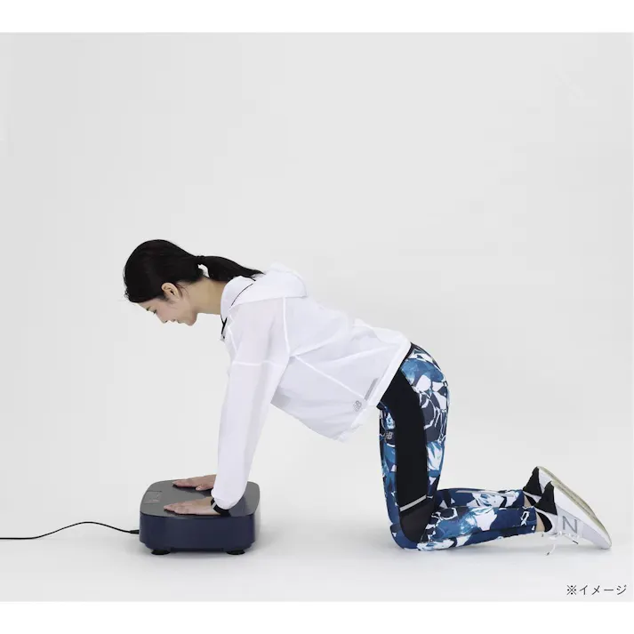 アルインコ 振動マシンコンパクト FAV5019N 軽量 コンパクト 振動速度16段階調節可能 部位別トレーニング可能【別送品】