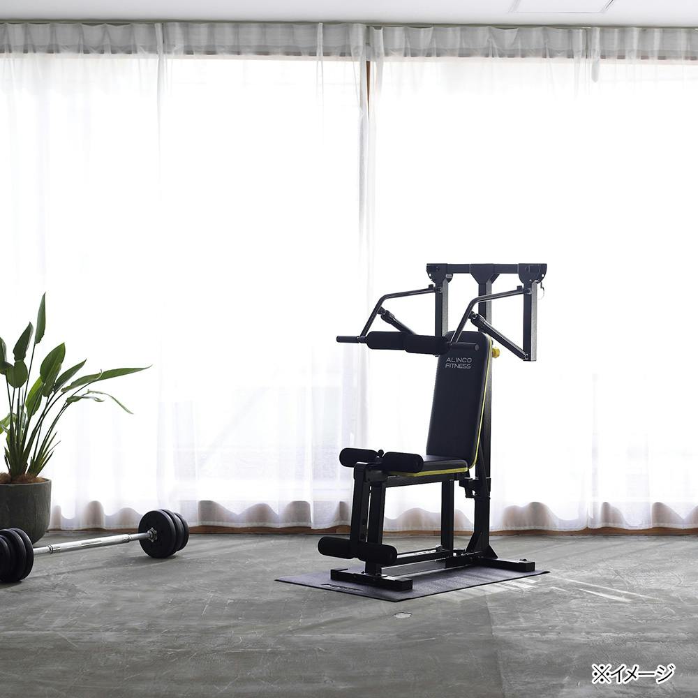 アルインコ マルチワークアウトジム FAG2022 自宅で10種類以上の