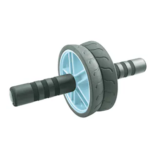 2WAY腹筋ローラー MVS500 ホイール付け替え可能2WAYタイプ ひざ用保護マット付き