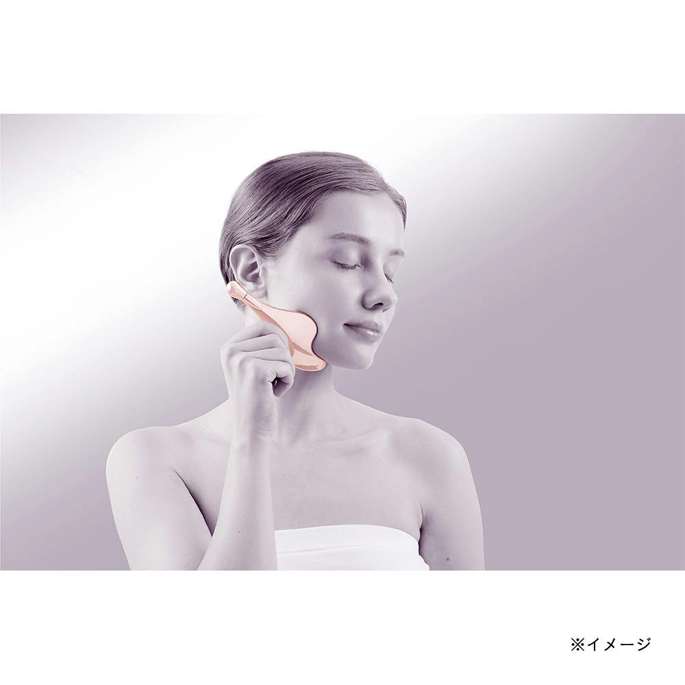 マルチかっさ リーフ型 | その他 トレーニング・シェイプアップ用品