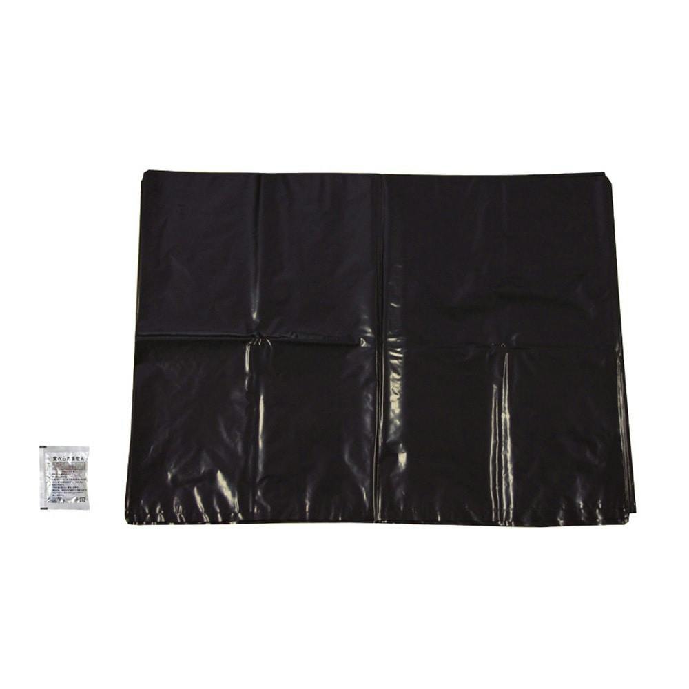 Biglin Energy 6体セット 100％本物 袋未開封 クーラーバッグ プリザーブ | shesay(志成販売)｜インテリア