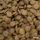 Quoli グレインフリー 成猫用 まぐろ 150g