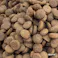Quoli 子猫用 12ヶ月頃まで まぐろ 600g