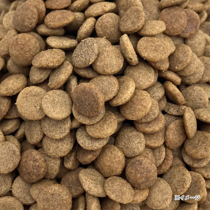 Quoli グレインフリー 成猫用 チキン1.6Kg