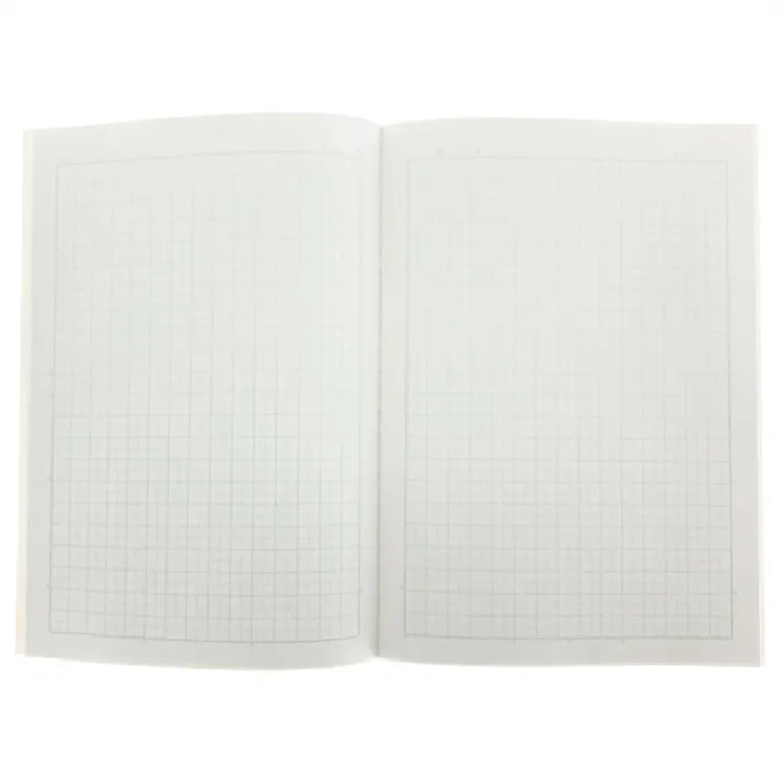 日本ノート アピカ スクールキッズ 理科 5mm方眼罫 セミB5