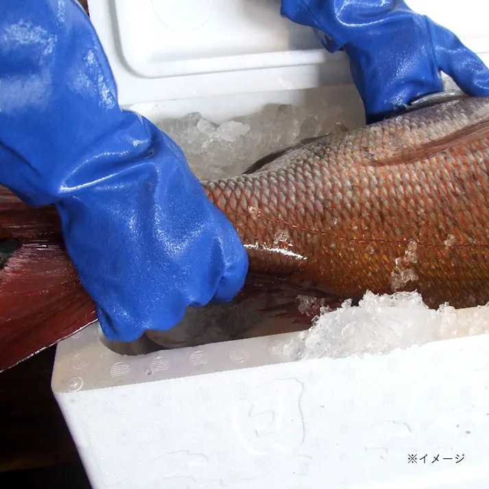 213 ネオイーグル M