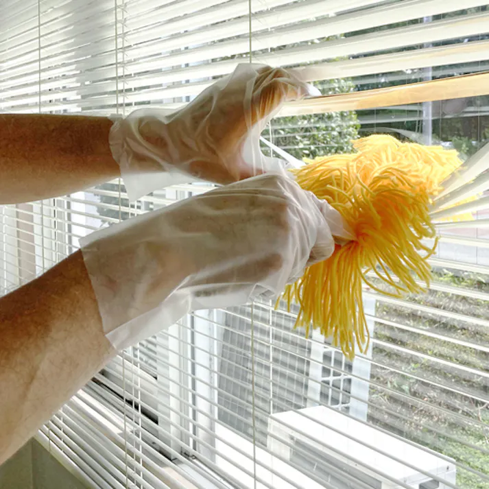 【CAINZ-DASH】アトム ポリエチレン手袋 L 100枚入 1720-100L【別送品】