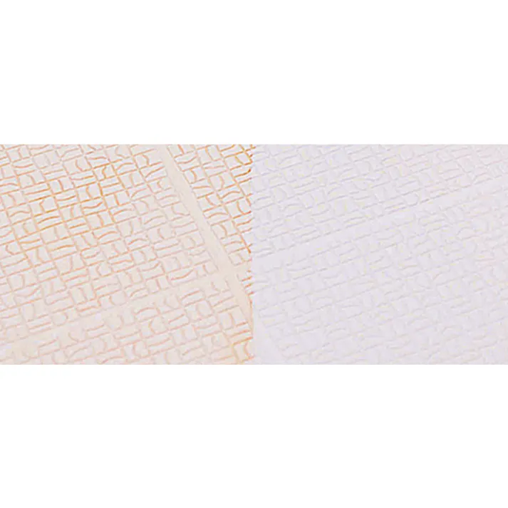 【CAINZ-DASH】アズマ工業 sm@rt779浴室床洗い 478827【別送品】