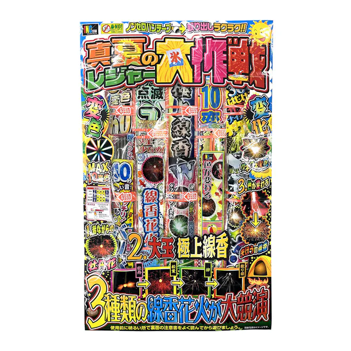 真夏のレジャー大作戦