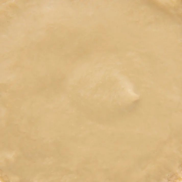 カロリーエースプラス犬用ムースタイプ85g