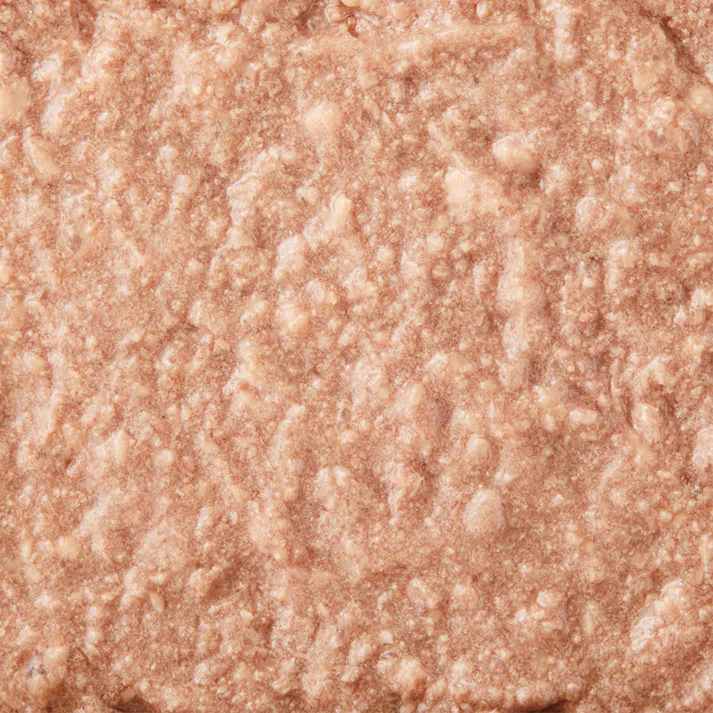 プリモデビィ グレインフリー シニア犬用 チキン 95g