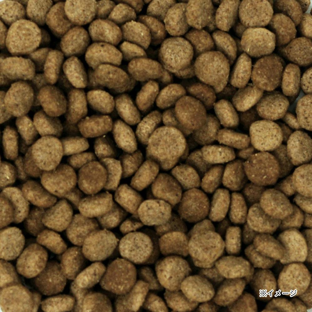 日本犬柴専用 鶏三昧 赤帯 中齢・高齢犬用 2kg | ドッグフード 通販