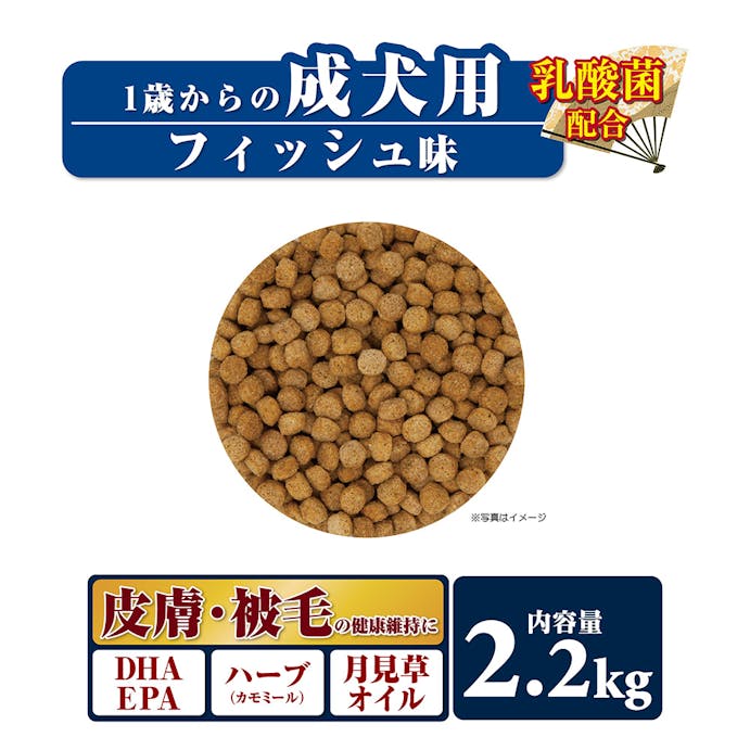 日本犬柴専用 成犬用フィッシュ2.2Kg