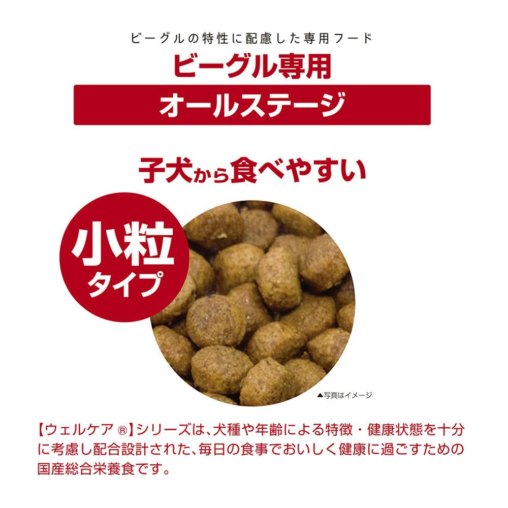 ウェルケア ビーグル専用 オールステージ 3kg | ペット用品（犬