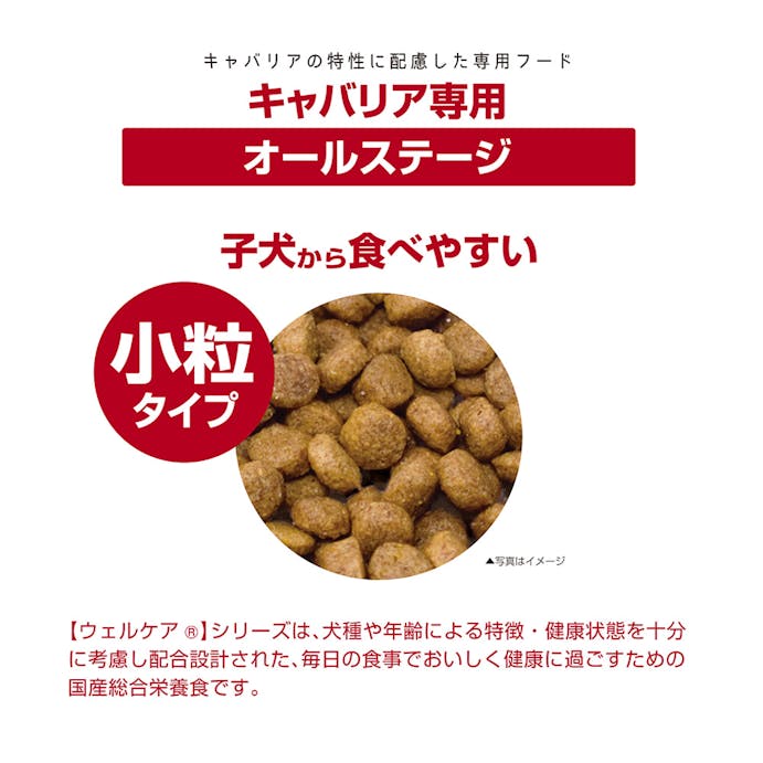 ウェルケア キャバリア専用オールステージ 3kg