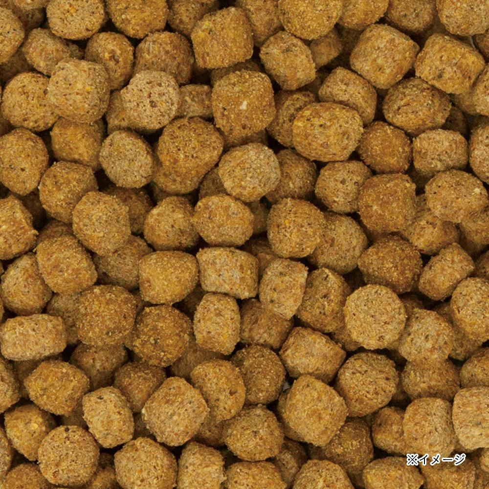 ajttjaさま専用　5キロ 日本犬柴専用チキン味5kg | ドッグフード 通販 | ホームセンター