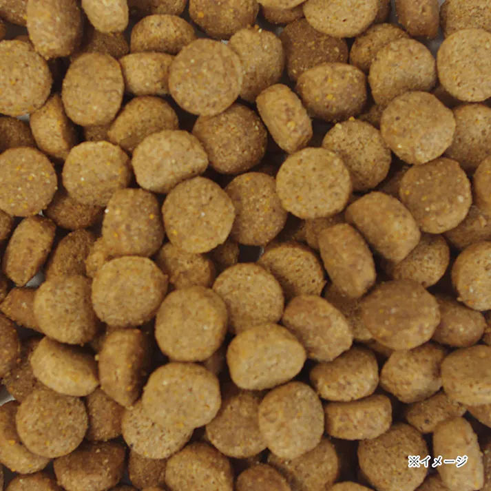 ウェルケア レトリーバー専用 アダルト 6kg