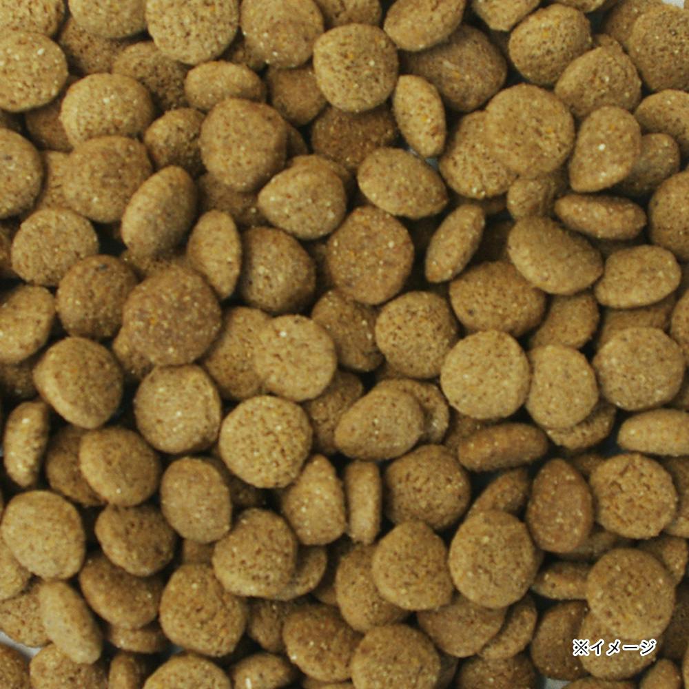 ドッグフード *Remy* Amazon | YARRAH（ヤラー） オーガニックドッグフード 小型犬