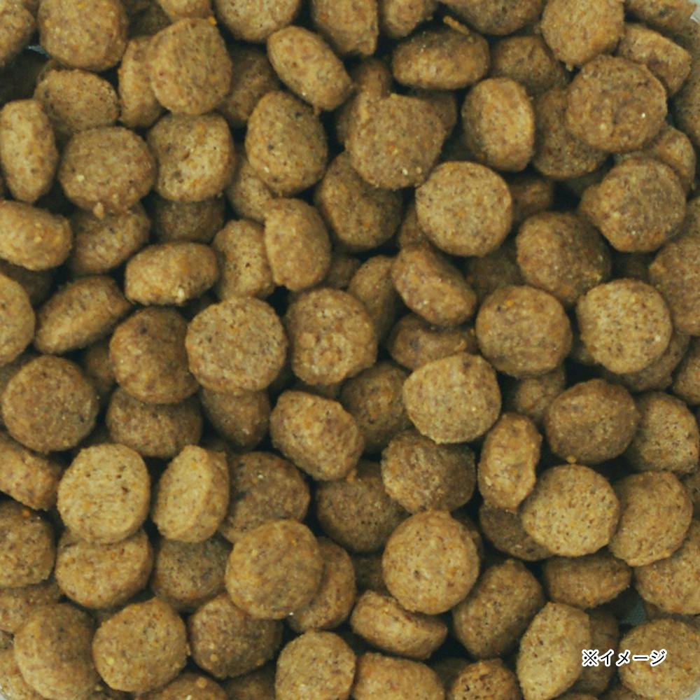 ウェルケア 柴専用 アダルト～シニア 2.7kg | ドッグフード 通販