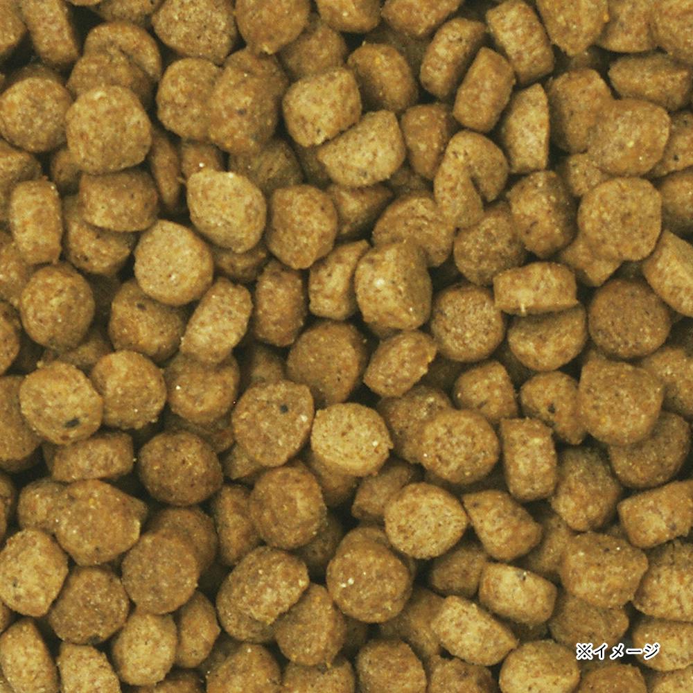 ウェルケア フレンチ・ブルドッグ専用 2.7kg | ペット用品（犬