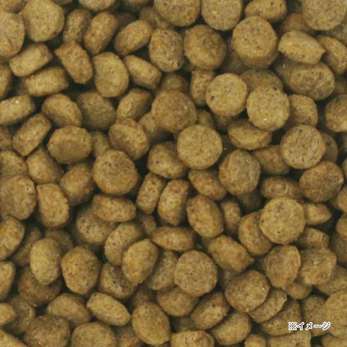 ウェルケア キャバリア専用 2.7kg