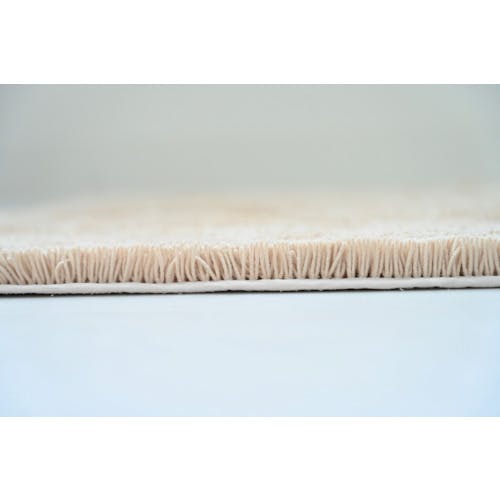 CAINZ-DASH】オカ 業務用バスマット乾度良好Ag＋ 60×90cm