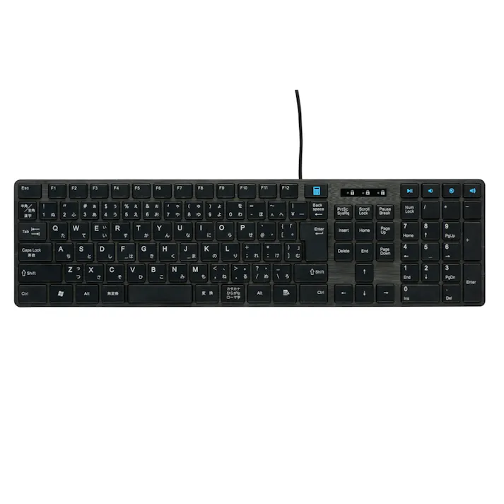 PCGEAR 有線USBキーボード ブラック PC-SKC41 K