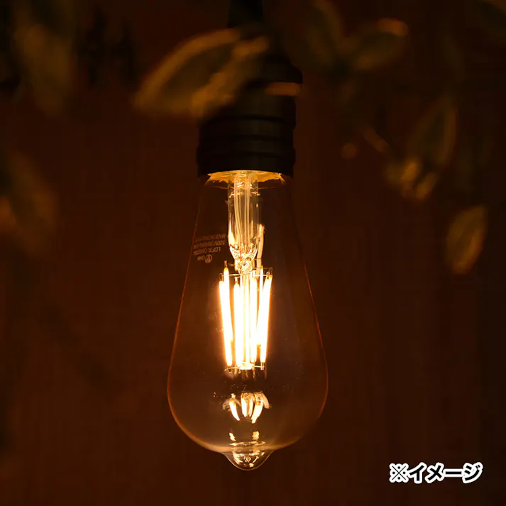 LEDフィラメントタイプレトロ球 E26 40形相当 キャンドル色 06-3894 LDF3L C6/G