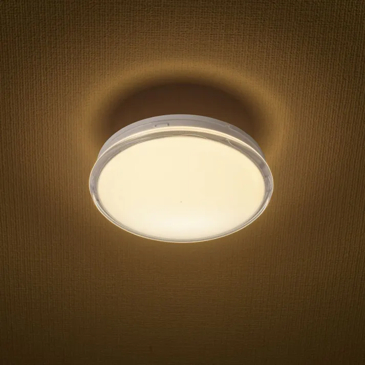 LED薄形ミニシーリングライト 60形 720ルーメン 電球色 LE-Y7LK-WS