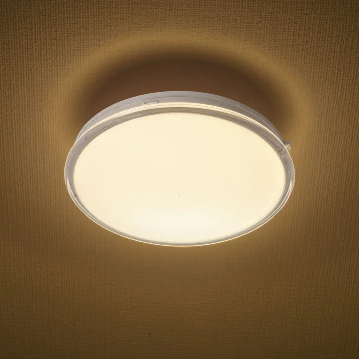 LED薄形ミニシーリングライト 100形 1340ルーメン 電球色 LE-Y13LK-WS