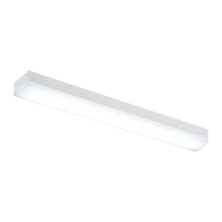 LEDベースライト トラフ形 20形 1800lm 昼光色 LT-BS2200C08N-D 06-4250