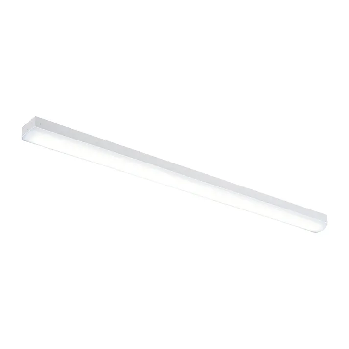 LEDベースライト トラフ形 40形 6900lm 昼白色 LT-BS4600C08N-N 06-4256