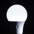 オーム電器 LED電球 E26 全方向 100形相当 昼白色 LDA12N-G AG28(販売終了)