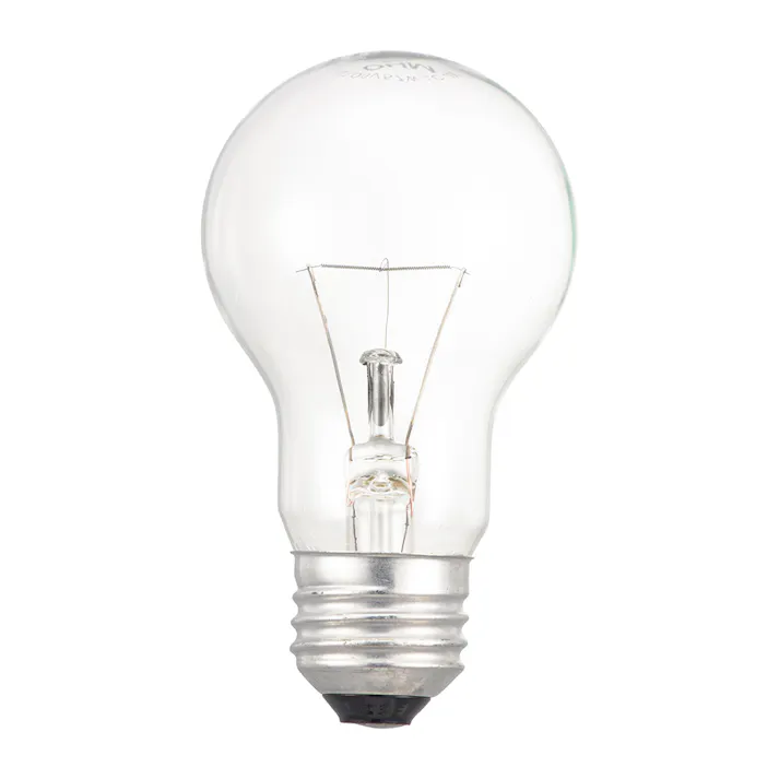 長寿命 白熱電球 60W クリア LB-DL5657CN 06-4749