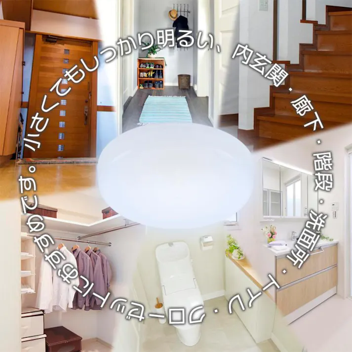 LEDミニシーリングライト 60形 840ルーメン 昼光色 LE-Y7B-WD