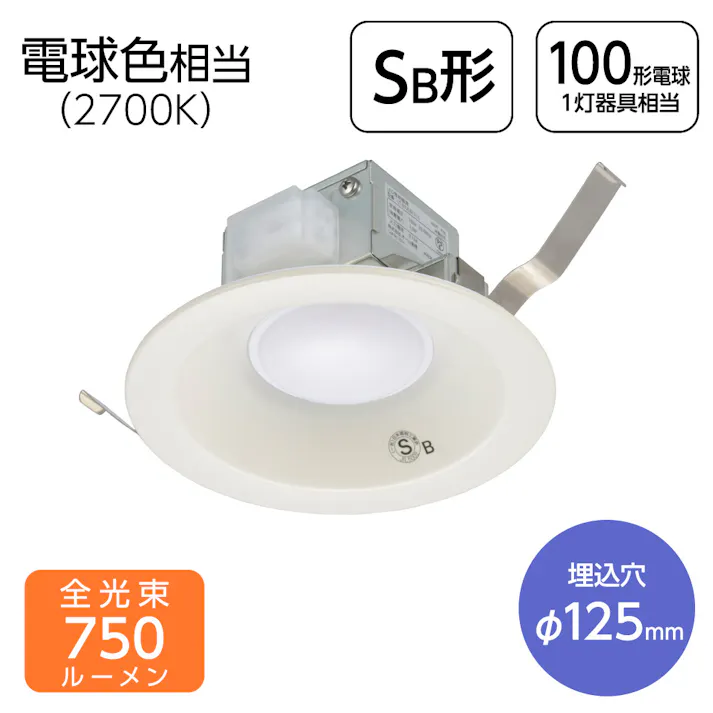 φ125 ダウンライト 電球色 750lm