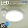 LEDミニシーリングライト センサー付き 60形 960ルーメン 昼光色 LE-Y9DG-W-PIR