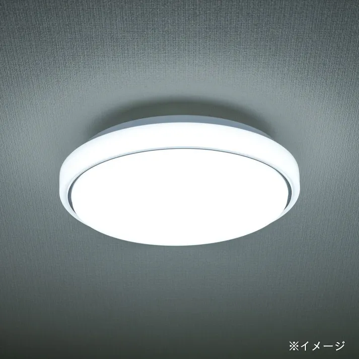 LED内玄関灯 昼光色 LT-Y18D-GB