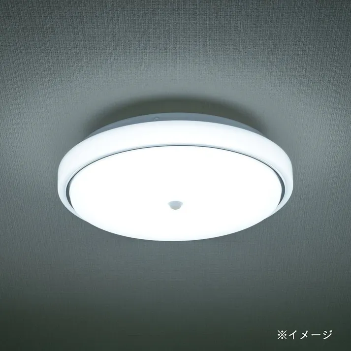 LED内玄関灯 昼光色 LT-Y18D-GB-PIR