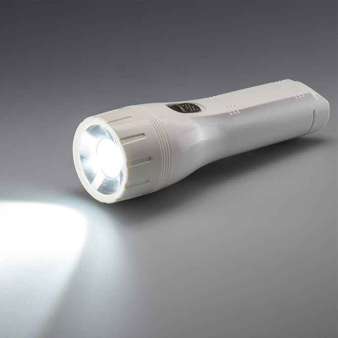 オーム電機 LED懐中ライト 72ルーメン 単1形乾電池2本付き LHP-07C5 07-8010