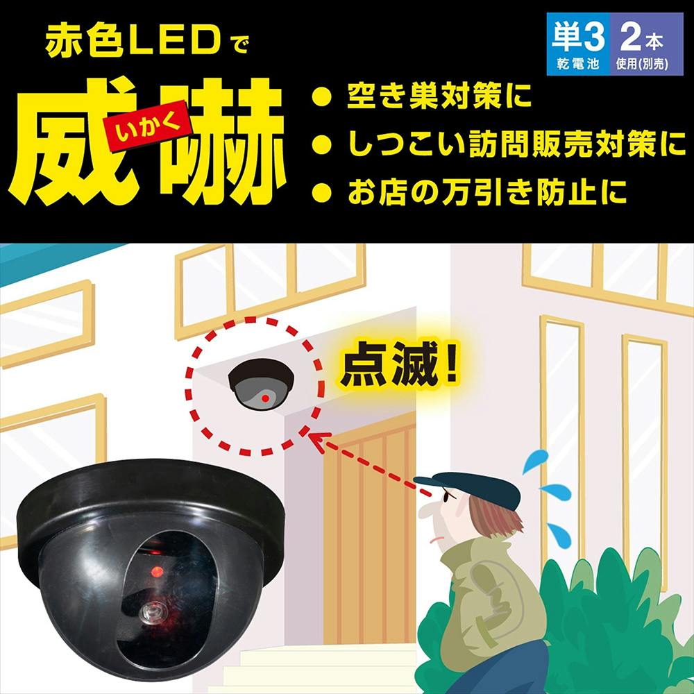 ティミー様ご確認用☆ 楽天市場】done by deer (ダンバイディア) タミータイム