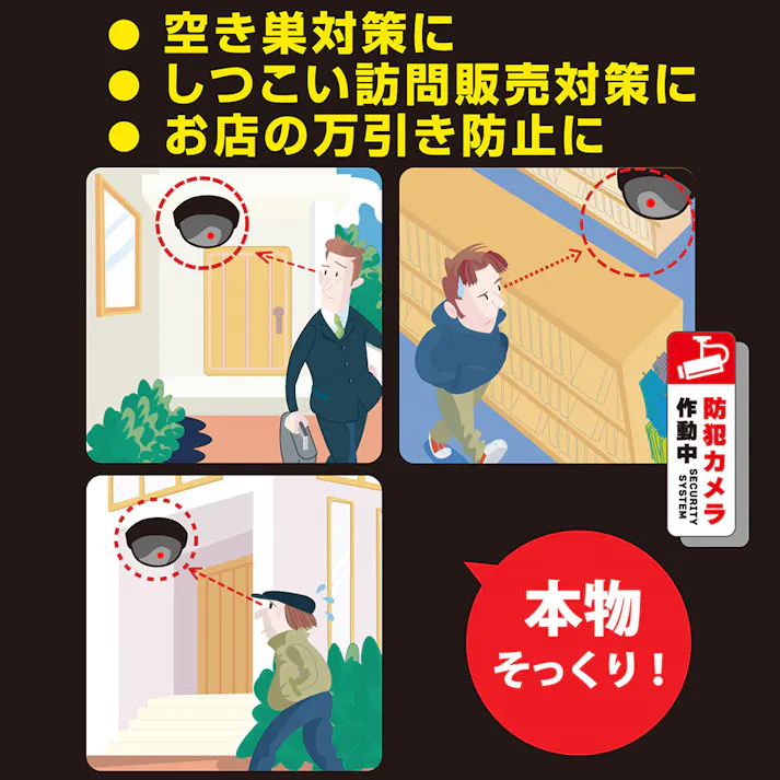 monban ダミーカメラ 常時点滅タイプ OSE-PDCW1