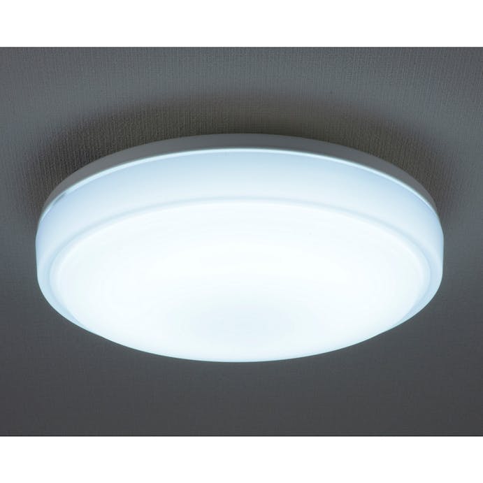 オーム電機 LED内玄関灯 昼光色 LT-Y18D-G 07-9902