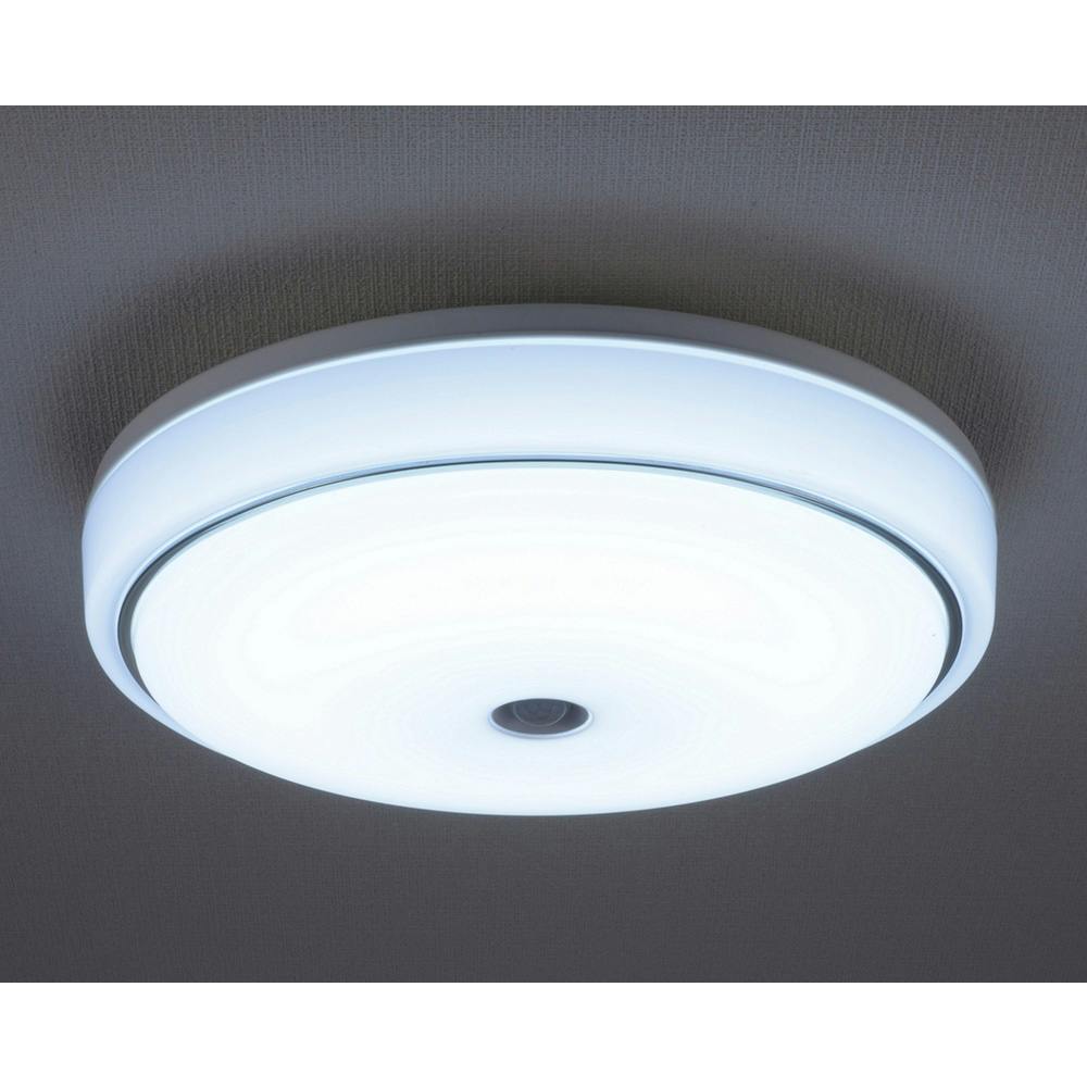 LEDセンサー玄関灯 MSP-GSL 6g7v4d0 楽天市場】LEDセンサー玄関灯MSP－GSLの通販