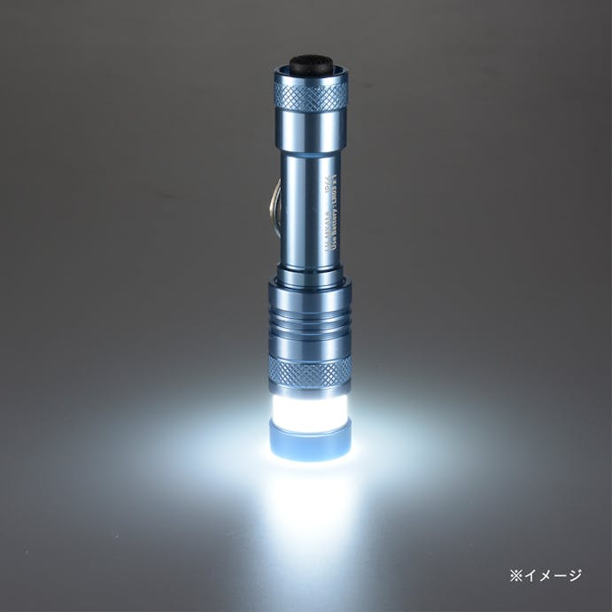 オーム電機 LEDミニライト ブルー 08-1005 LH-MY41-A2