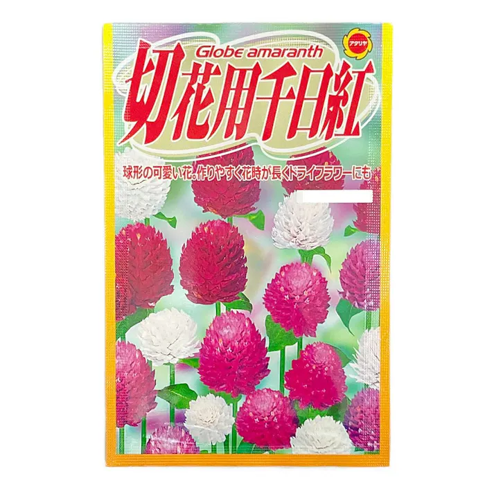 千日紅 美色混合