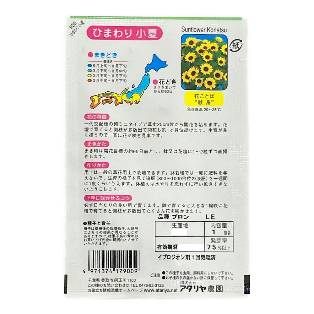 ひまわり小夏 | 花＆グリーン 通販 | ホームセンターのカインズ