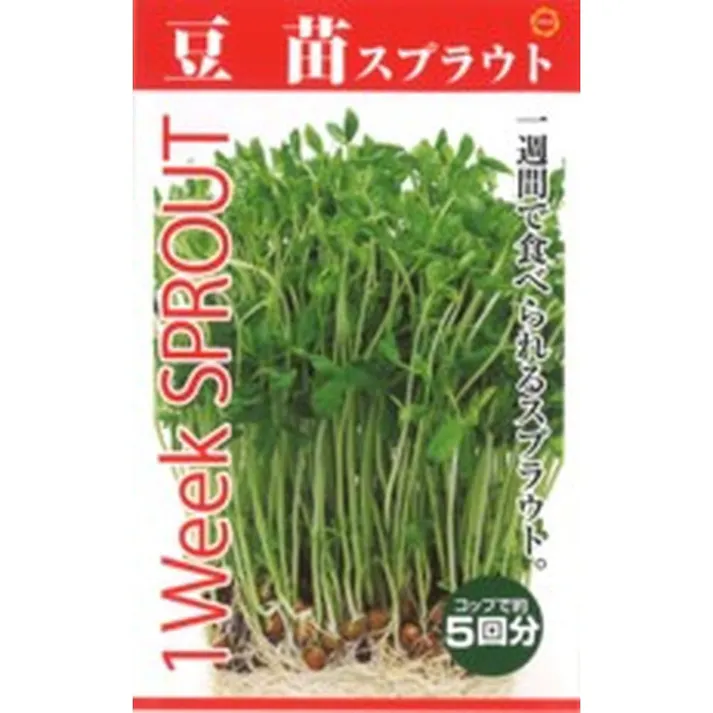 スプラウト 豆苗(販売終了)