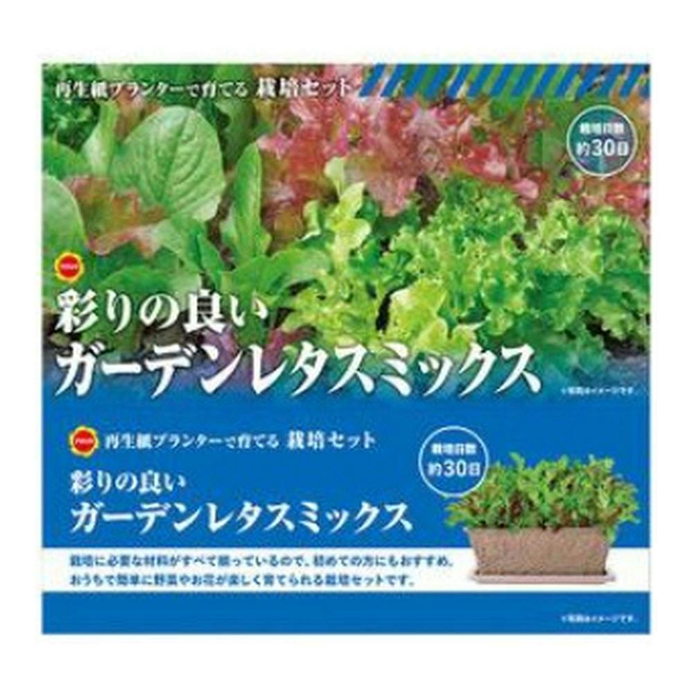 栽培セット ガーデンレタスミックス