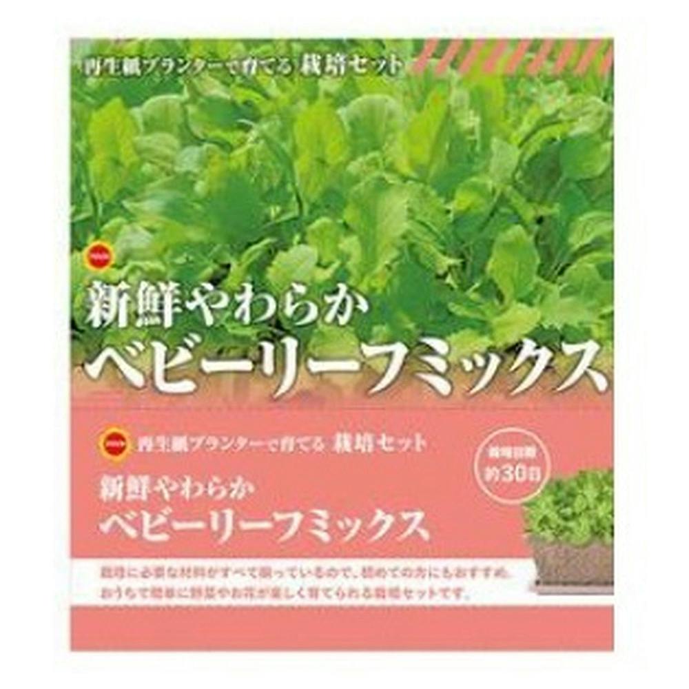 栽培セット ベビーリーフミックス